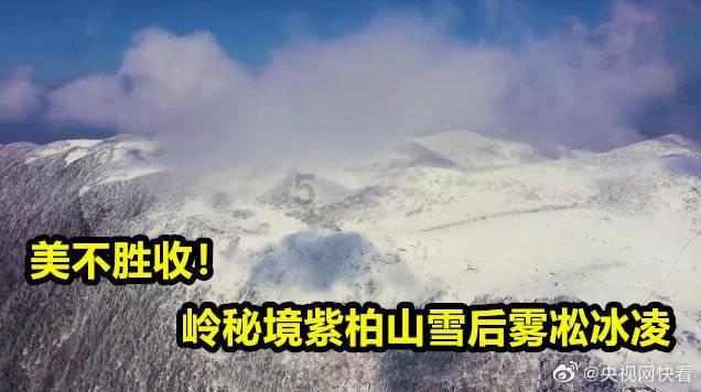 如何处理男朋友与父母之间的分歧？游戏画面